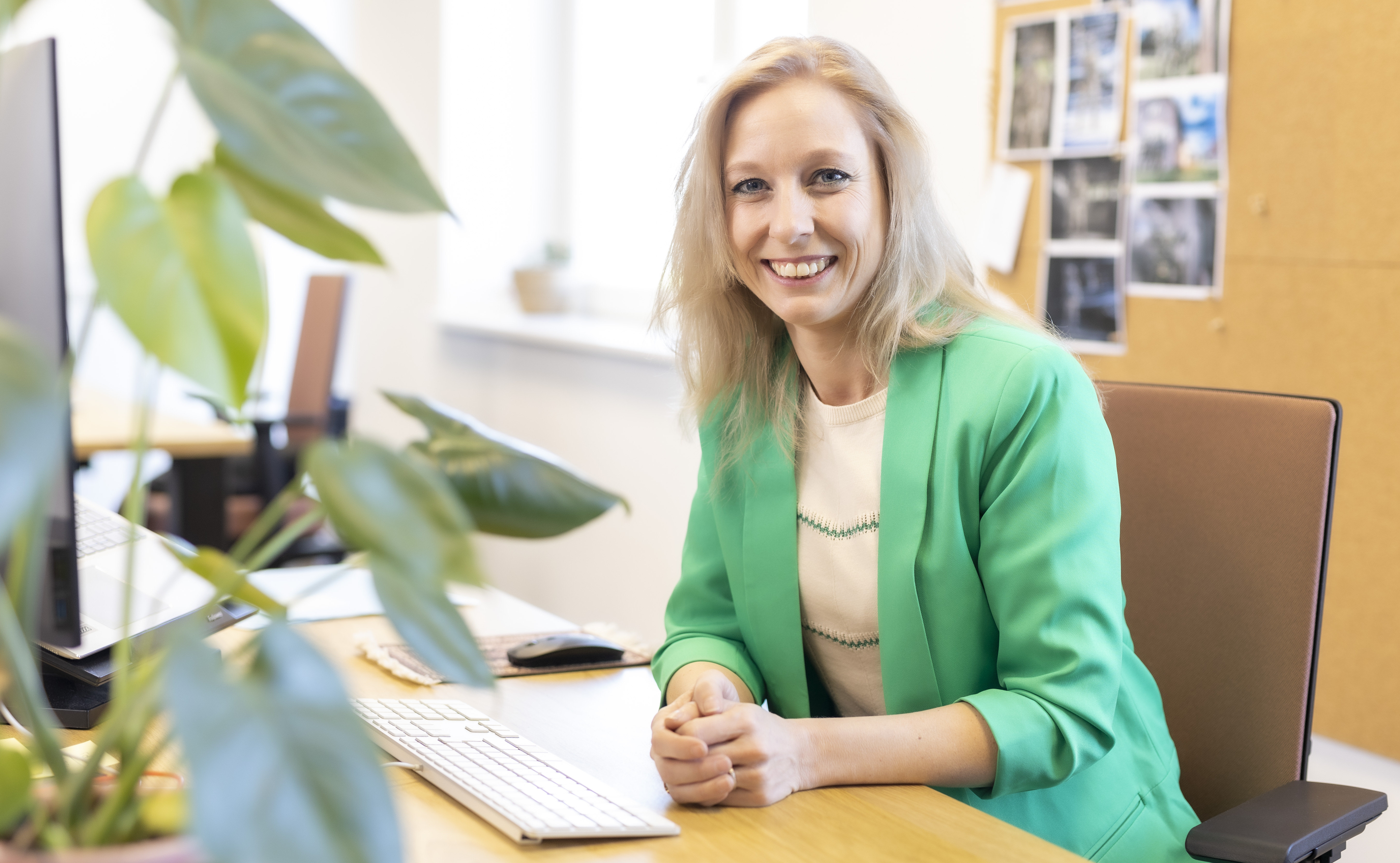 manager pantein extra manager pantein extra